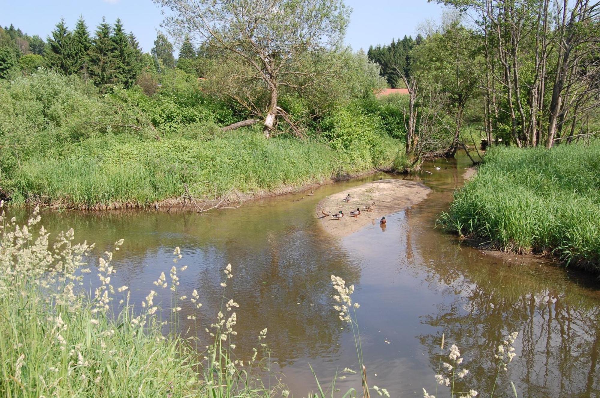 Ferienhaus Mit Seeblick Waldkirchen Εξωτερικό φωτογραφία